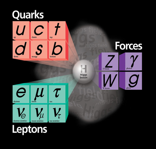 Elementary particles known in nature